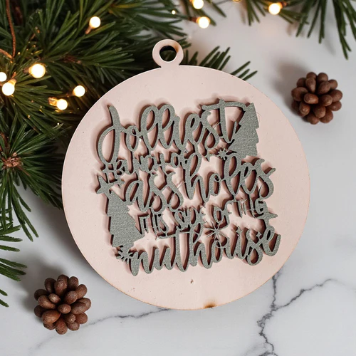 Funny Sarcastic Christmas Ornament Wooden Jolliest Bunch 12 Colors Holiday Gift - Image 14